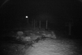 192.168.2.208_chn1_2025_10_17_01_14_01.jpg