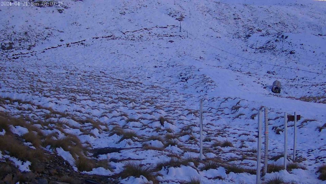 Snowstake | Mount Olympus cams