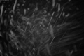 192.168.2.215_chn1_2026_09_06_21_18_47.jpg