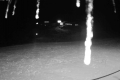 192.168.2.214_chn1_2026_09_07_21_40_33.jpg