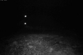 192.168.2.214_chn1_2026_10_27_21_57_46.jpg