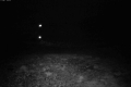 192.168.2.214_chn1_2026_10_28_00_12_46.jpg