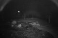 192.168.2.208_chn1_2025_05_25_20_55_28.jpg