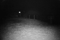 192.168.2.208_chn1_2026_09_09_21_03_12.jpg