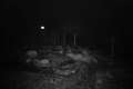 192.168.2.208_chn1_2026_10_31_20_42_47.jpg