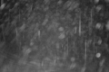 192.168.2.203_chn1_2025_05_29_19_42_30.jpg