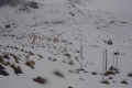 192.168.2.203_chn1_2025_06_28_06_42_30.jpg