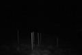192.168.2.203_chn1_2026_04_21_06_51_23.jpg