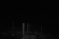192.168.2.203_chn1_2026_04_22_07_21_23.jpg