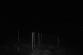 192.168.2.203_chn1_2026_04_29_05_48_01.jpg