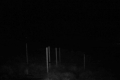 192.168.2.203_chn1_2026_05_11_12_55_41.jpg