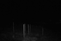 192.168.2.203_chn1_2026_05_14_10_28_04.jpg