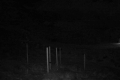 192.168.2.203_chn1_2026_07_02_03_57_56.jpg
