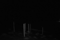 192.168.2.203_chn1_2026_07_15_06_03_24.jpg