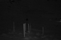 192.168.2.203_chn1_2026_07_21_06_20_46.jpg