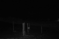 192.168.2.203_chn1_2026_08_12_20_43_28.jpg