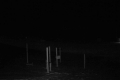 192.168.2.203_chn1_2026_08_13_03_43_28.jpg