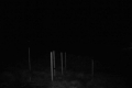 192.168.2.203_chn1_2026_10_31_20_56_34.jpg
